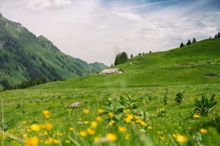 L'agriculture de montagne particulièrement touchée par les conditions de travail difficile (photo d'illustration)